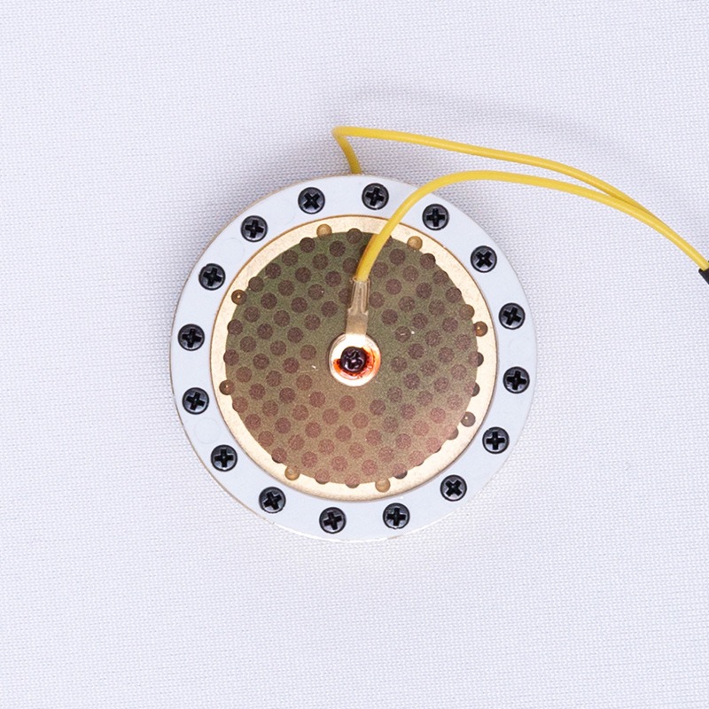 RK-87 Large Diaphragm Micropho - Microphone Capsule 评论和价格