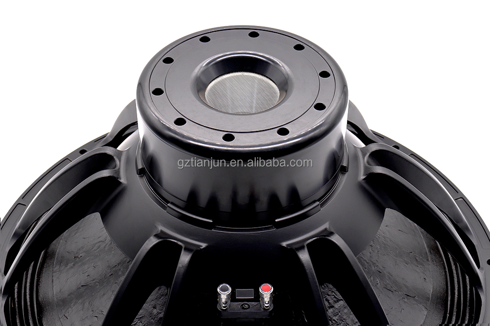 21'' Professional Audio System - Subwoofer 评论和价格